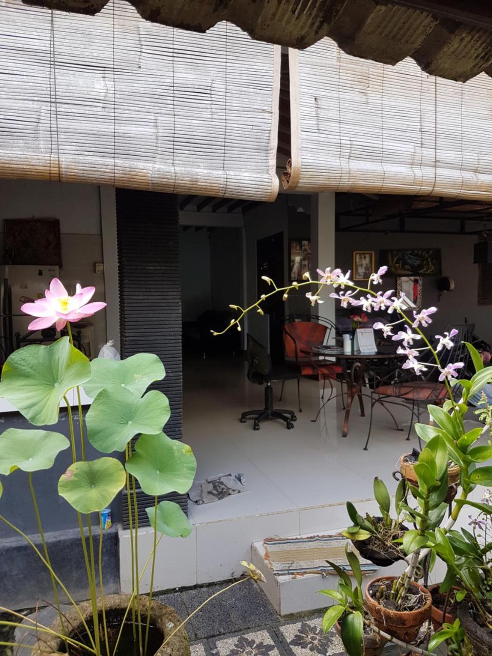 Mawar Homestay Canggu Exteriér fotografie